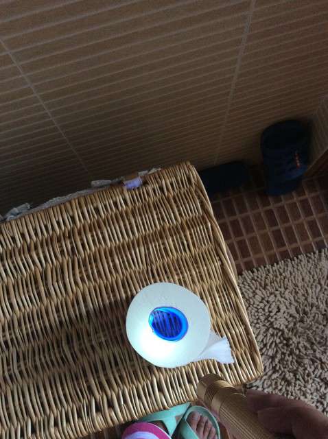  寶媽買了紫光手電，衣服上好多熒光劑，看的心慌害怕