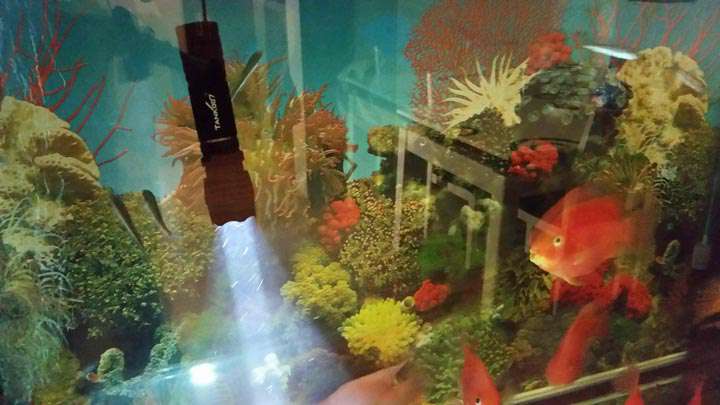 手電PT10，為戰(zhàn)術(shù)而生